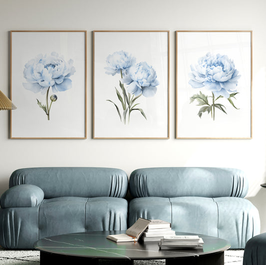 Light Blue Peonies - Set of 3 Botanical Prints