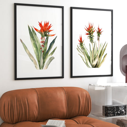 Aloe Plant Wall Art - Set of 2 Botanical Prints - Bloom Gallery