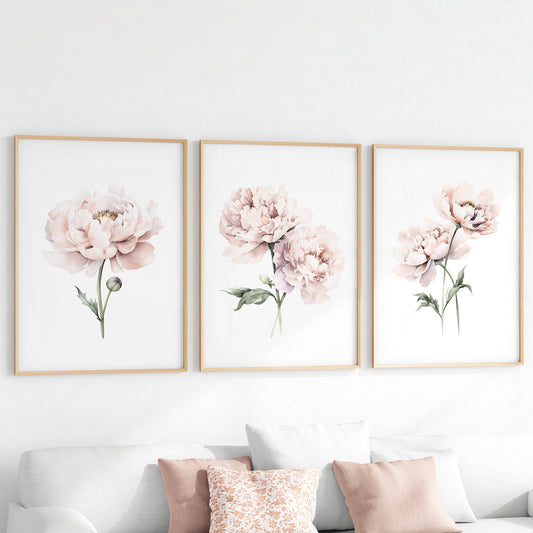 Blush Pink Peonies - Set of 3 Botanical Prints - Bloom Gallery