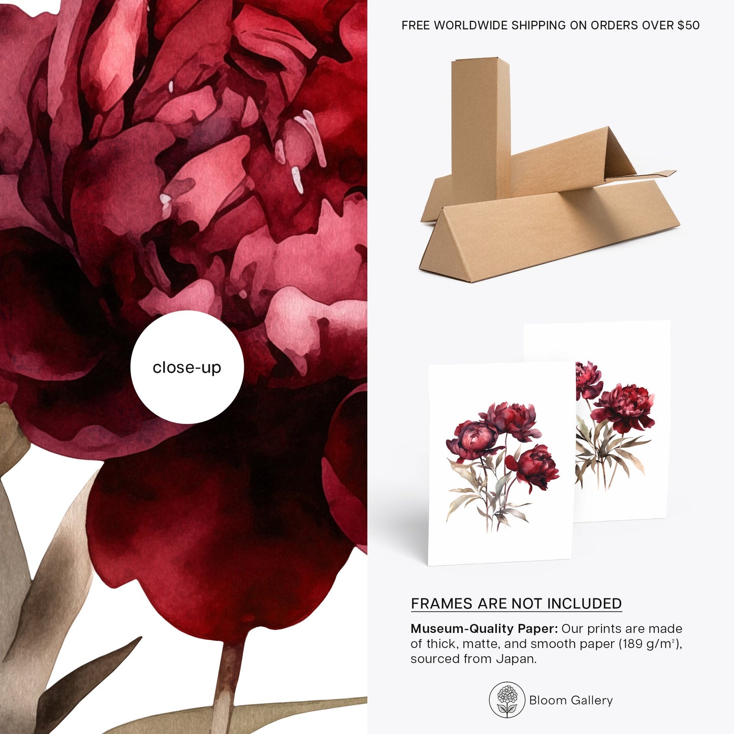 Burgundy Peonies Wall Art - Set of 2 Botanical Prints - Bloom Gallery