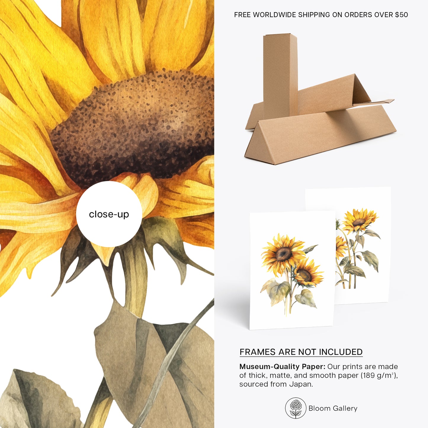 Sunflowers Wall Art - Set of 2 Botanical Prints