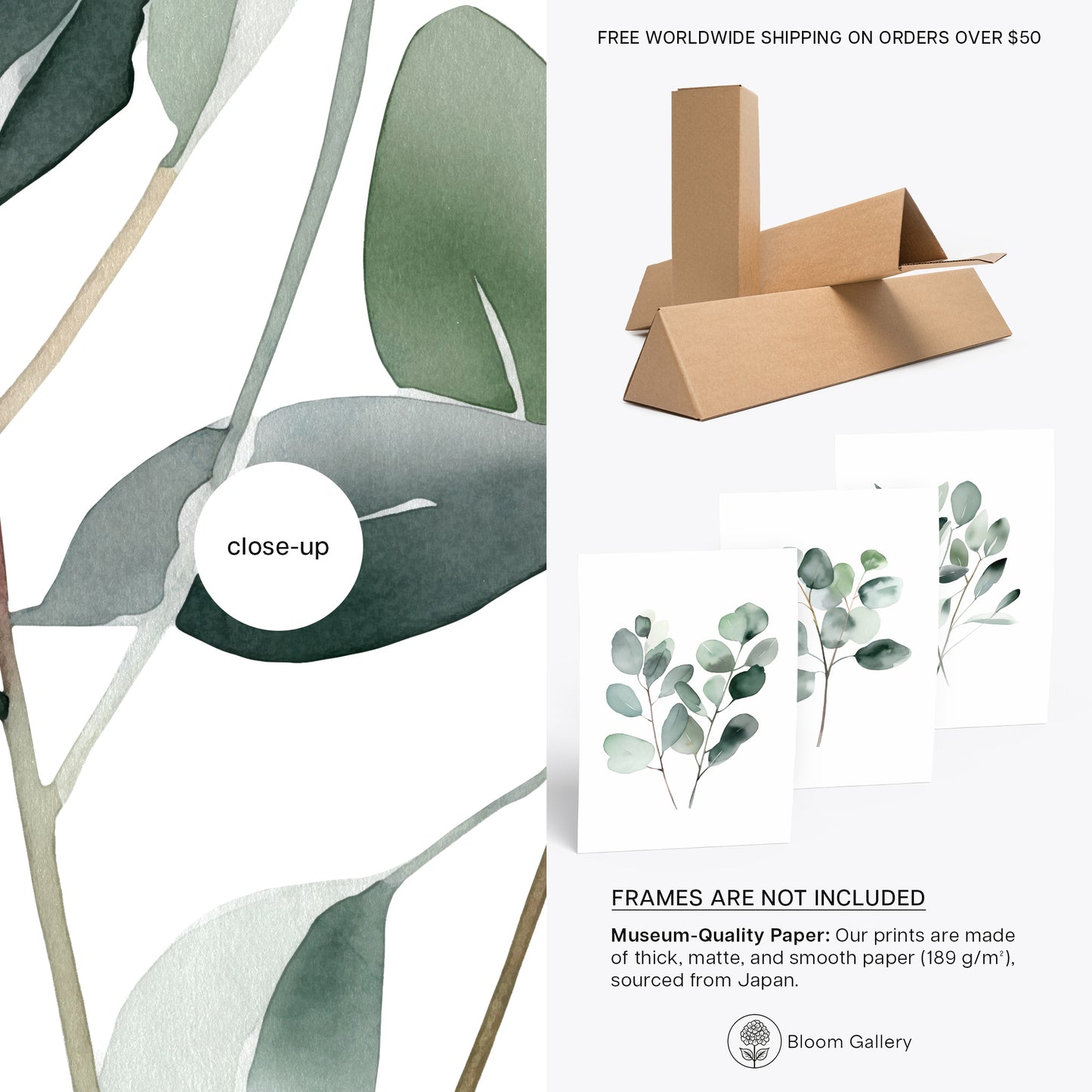 Eucalyptus Branches Botanical Prints - Set of 3 Prints