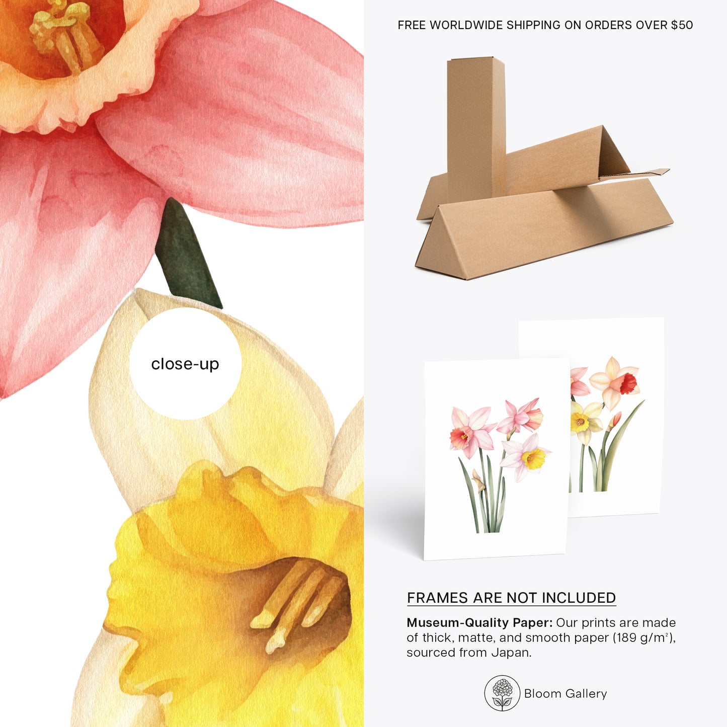 Daffodils Wall Art - Set of 2 Botanical Prints