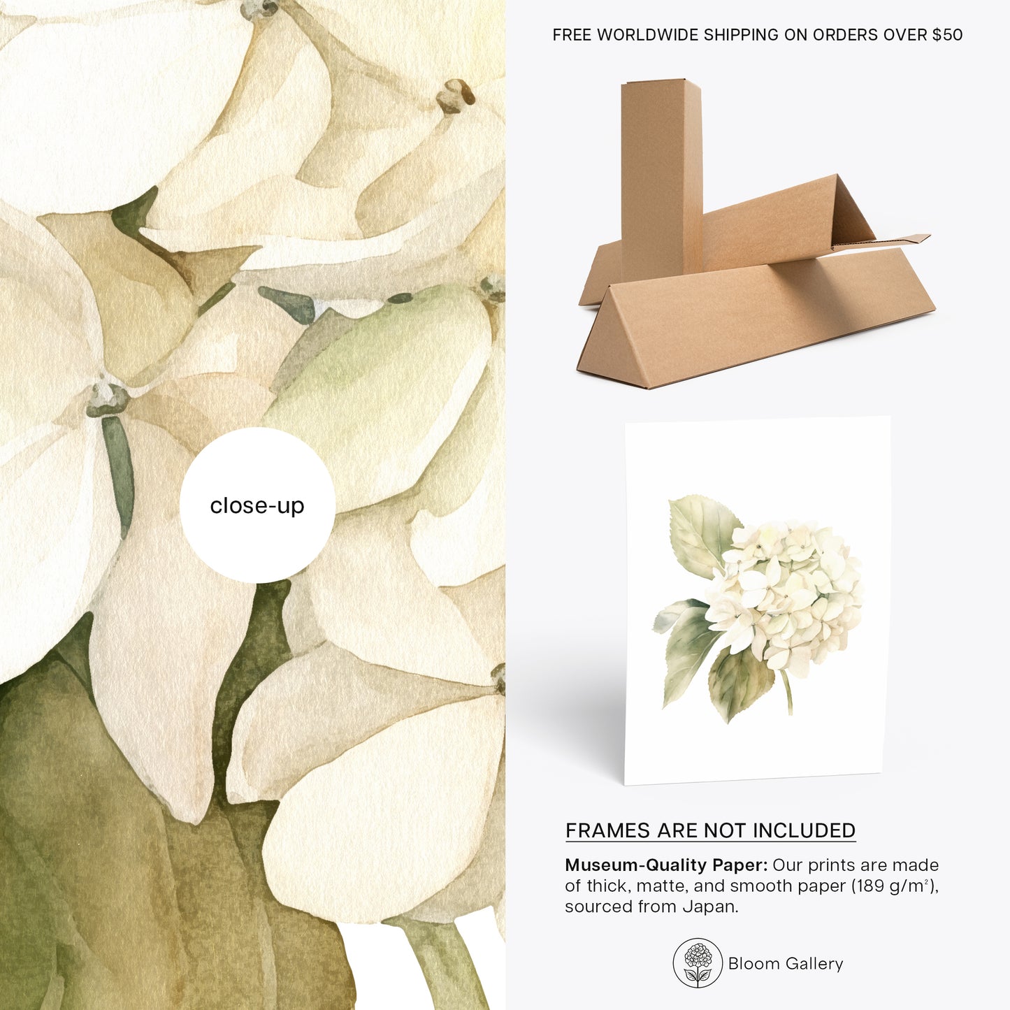 Beige Hydrangea Botanical Print - Elegant Wall Decor