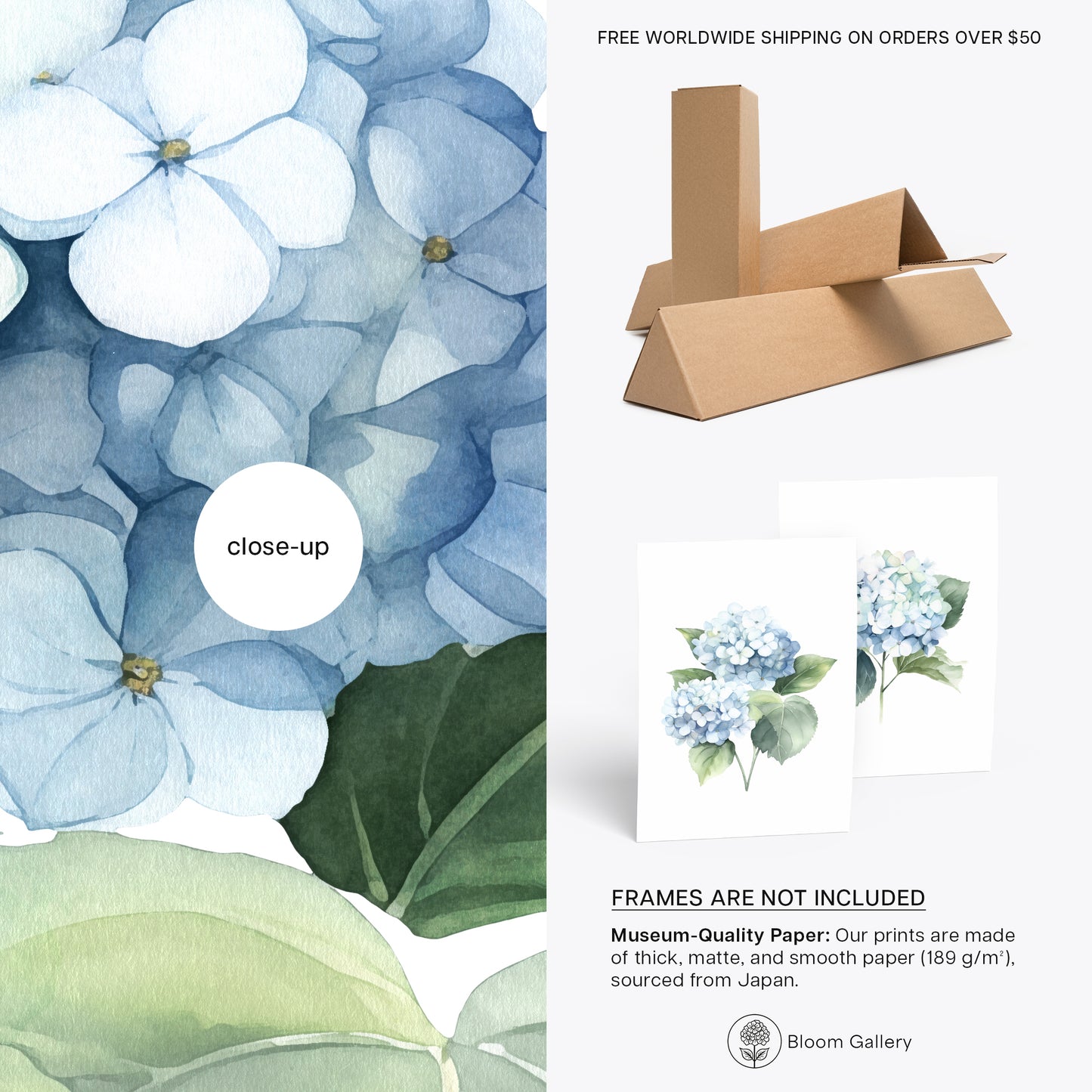 Blue Hydrangeas Wall Art - Set of 2 Botanical Prints