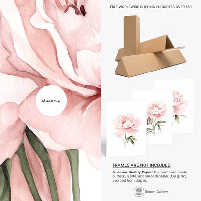 Pastel Pink Peonies Botanical Prints - Set of 3 Wall Decor