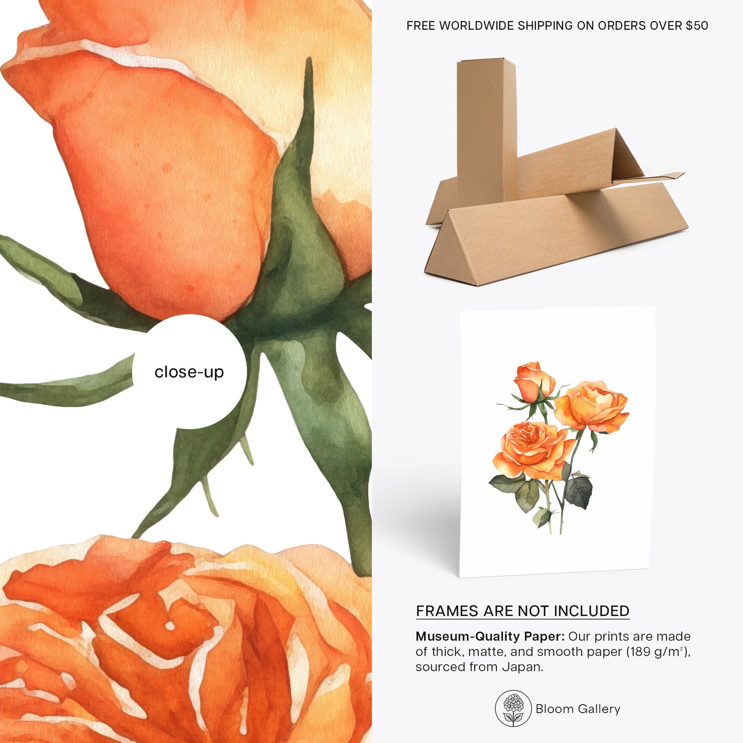 Orange Roses Botanical Print - Vibrant Wall Art