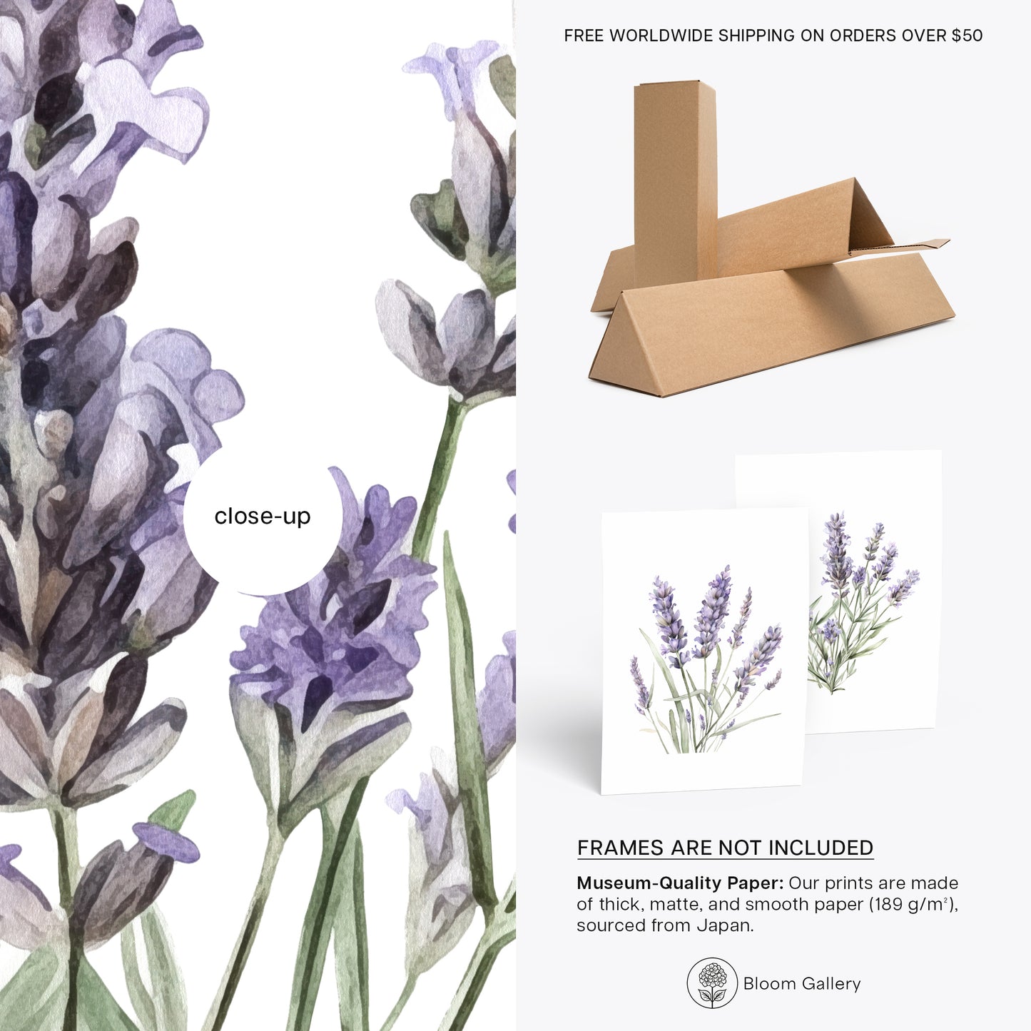 Lavender Wall Art - Set of 2 Botanical Prints