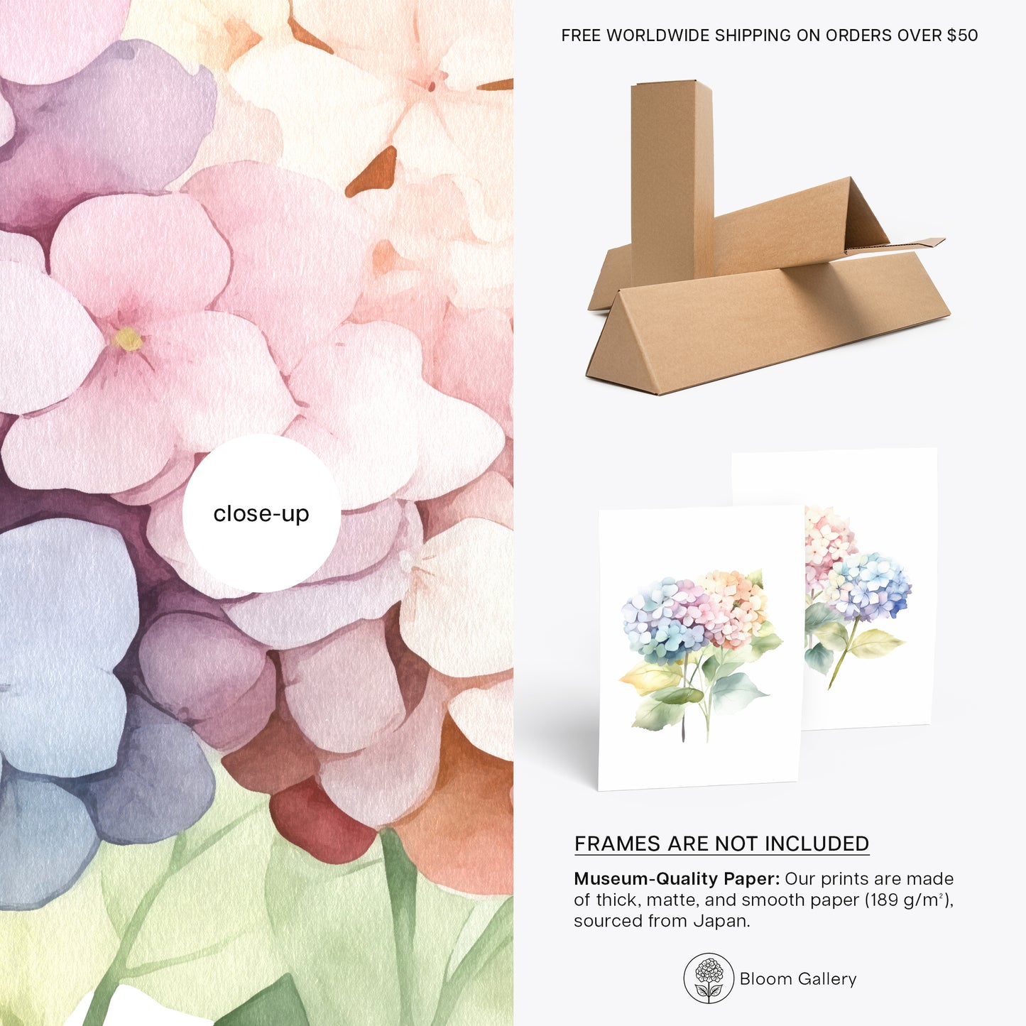 Colorful Pastel Hydrangeas - Set of 2 Prints