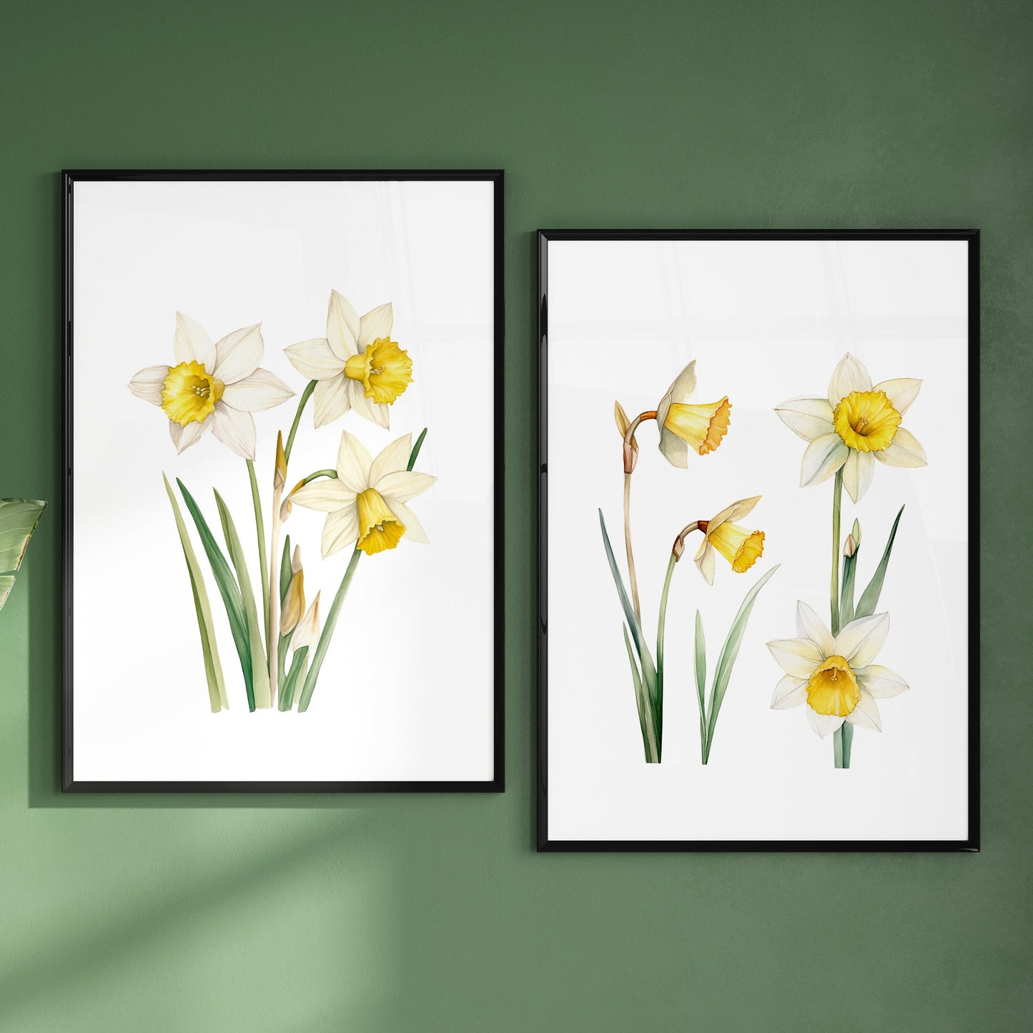 Daffodils Wall Art - Set of 2 Botanical Prints - Bloom Gallery