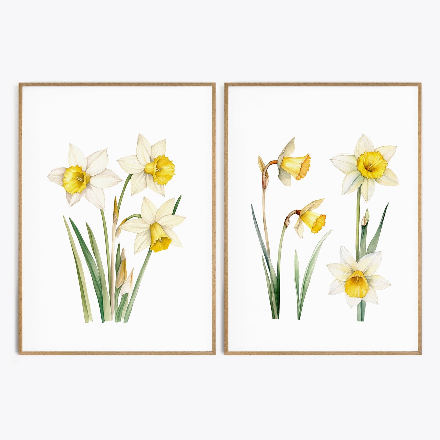 Daffodils Wall Art - Set of 2 Botanical Prints - Bloom Gallery