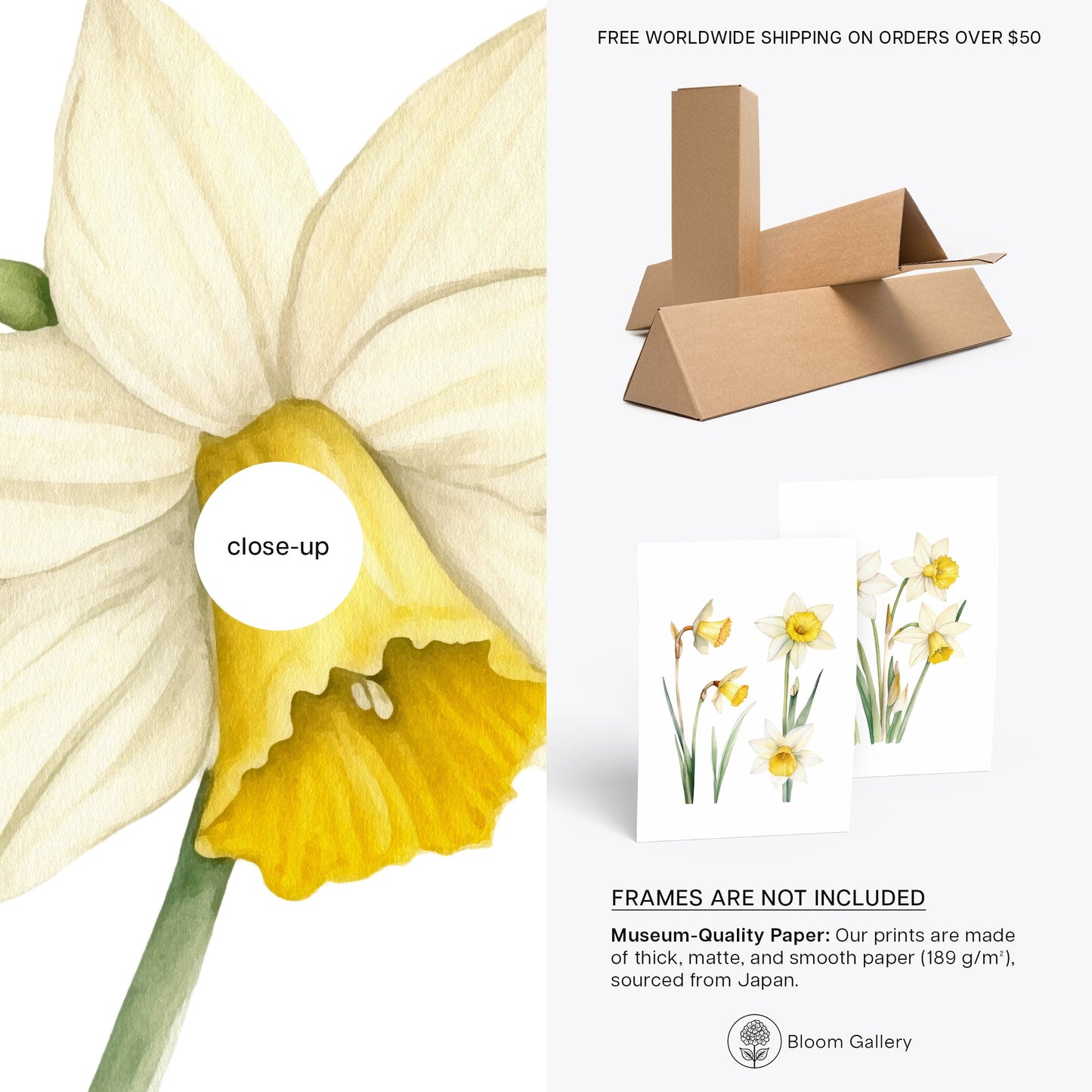 Daffodils Wall Art - Set of 2 Botanical Prints - Bloom Gallery