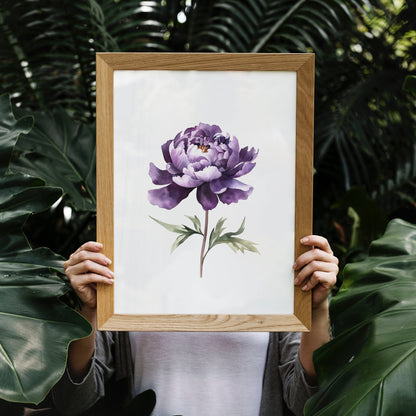 Dark Purple Peony Botanical Print - Elegant Wall Decor - Bloom Gallery