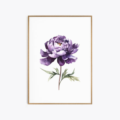 Dark Purple Peony Botanical Print - Elegant Wall Decor - Bloom Gallery