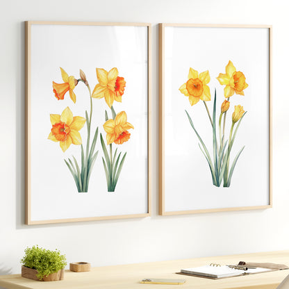 Daffodils Wall Art - Set of 2 Botanical Prints