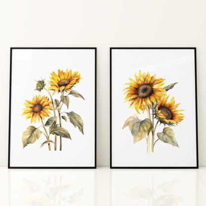 Sunflowers Wall Art - Set of 2 Botanical Prints