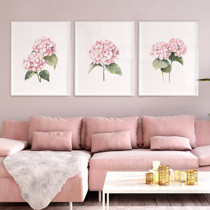 Pink Hydrangeas Botanical Prints - Set of 3 Wall Decor