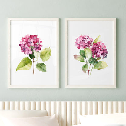 Pink Fuchsia Hydrangeas - Set of 2 Botanical Wall Prints