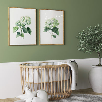 Green Hydrangeas Wall Art - Set of 2 Botanical Prints