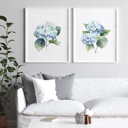 Blue Hydrangeas Wall Art - Set of 2 Botanical Prints