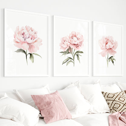 Pastel Pink Peonies Botanical Prints - Set of 3 Wall Decor