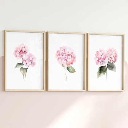 Pink Hydrangeas Botanical Prints - Set of 3 Wall Decor