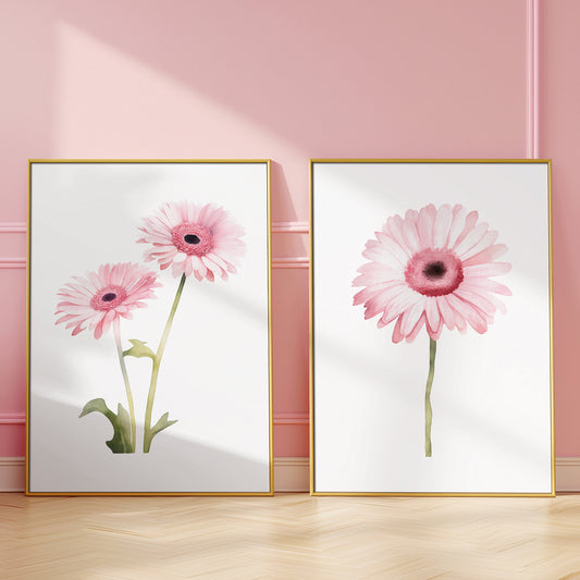 Light Pink Gerbera Flower - Set of 2 Botanical Prints