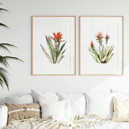 Aloe Plant Wall Art - Set of 2 Botanical Prints