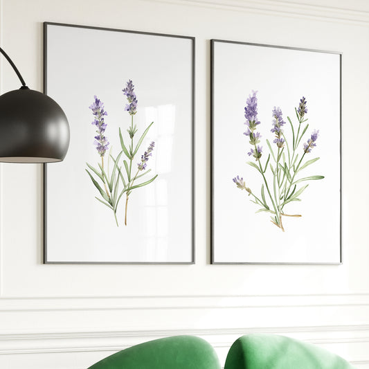 Lavender Wall Art - Set of 2 Botanical Prints