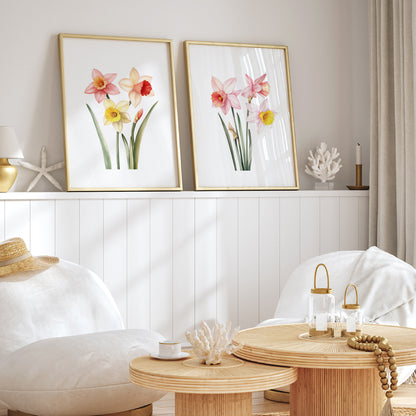 Daffodils Wall Art - Set of 2 Botanical Prints