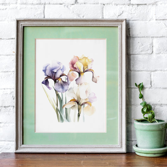 Colorful Irises Botanical Print - Vibrant Wall Art