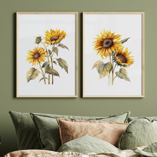 Sunflowers Wall Art - Set of 2 Botanical Prints