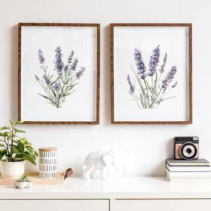 Lavender Wall Art - Set of 2 Botanical Prints