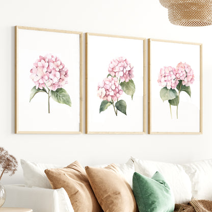 Pink Hydrangeas Botanical Prints - Set of 3 Wall Decor