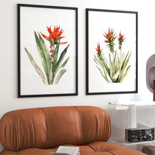 Aloe Plant Wall Art - Set of 2 Botanical Prints