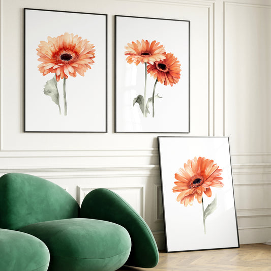 Orange Gerbera Flowers - Set of 3 Prints