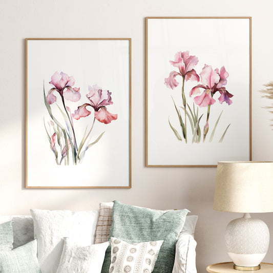 Pink Irises Wall Art - Set of 2 Botanical Prints