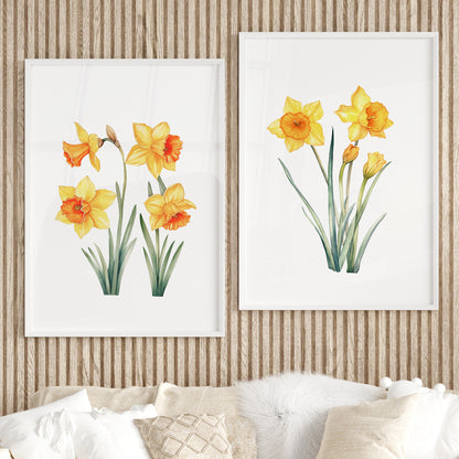 Daffodils Wall Art - Set of 2 Botanical Prints