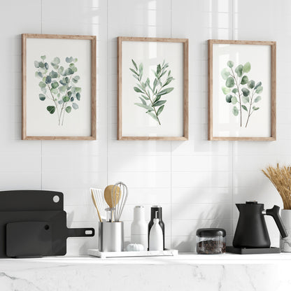 Eucalyptus & Sage Botanical Prints - Set of 3 Wall Decor