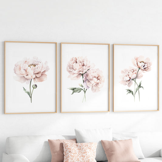 Blush Pink Peonies - Set of 3 Botanical Prints