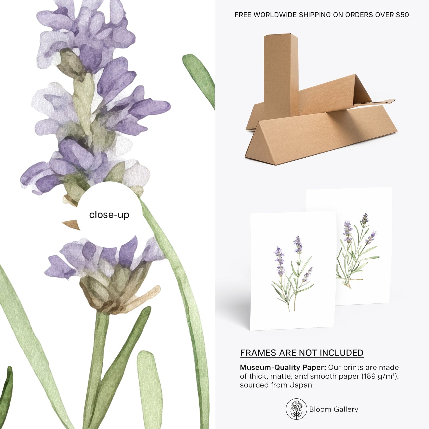 Lavender Wall Art - Set of 2 Botanical Prints - Bloom Gallery