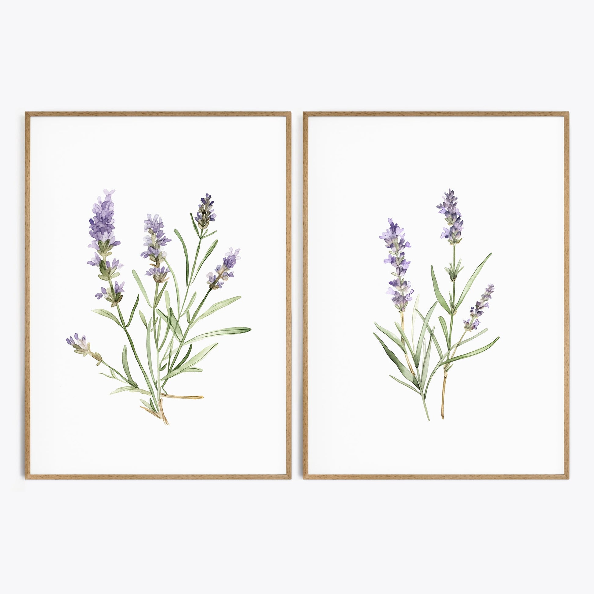 Lavender Wall Art - Set of 2 Botanical Prints - Bloom Gallery