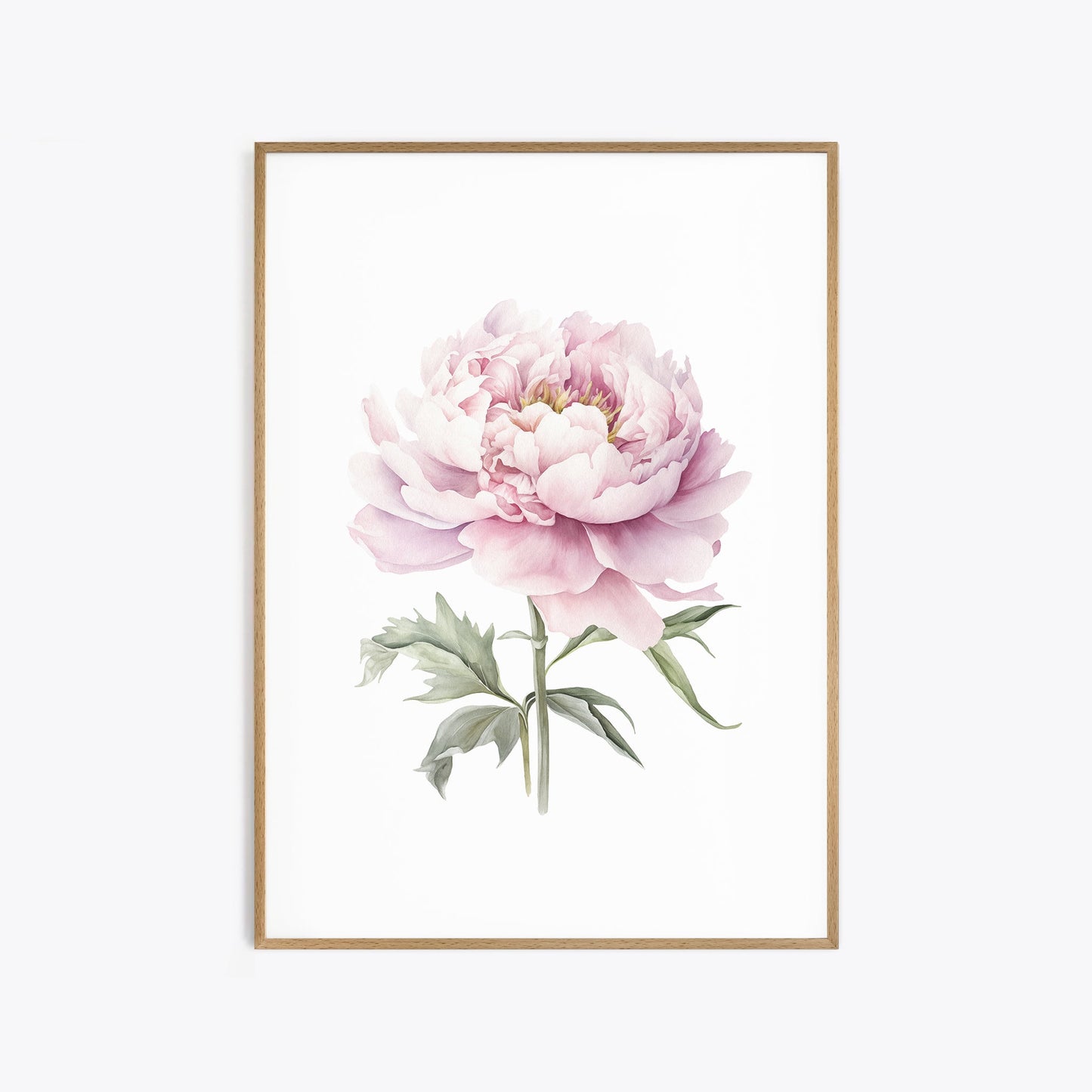 Light Pink Peonies - Set of 3 Botanical Prints - Bloom Gallery