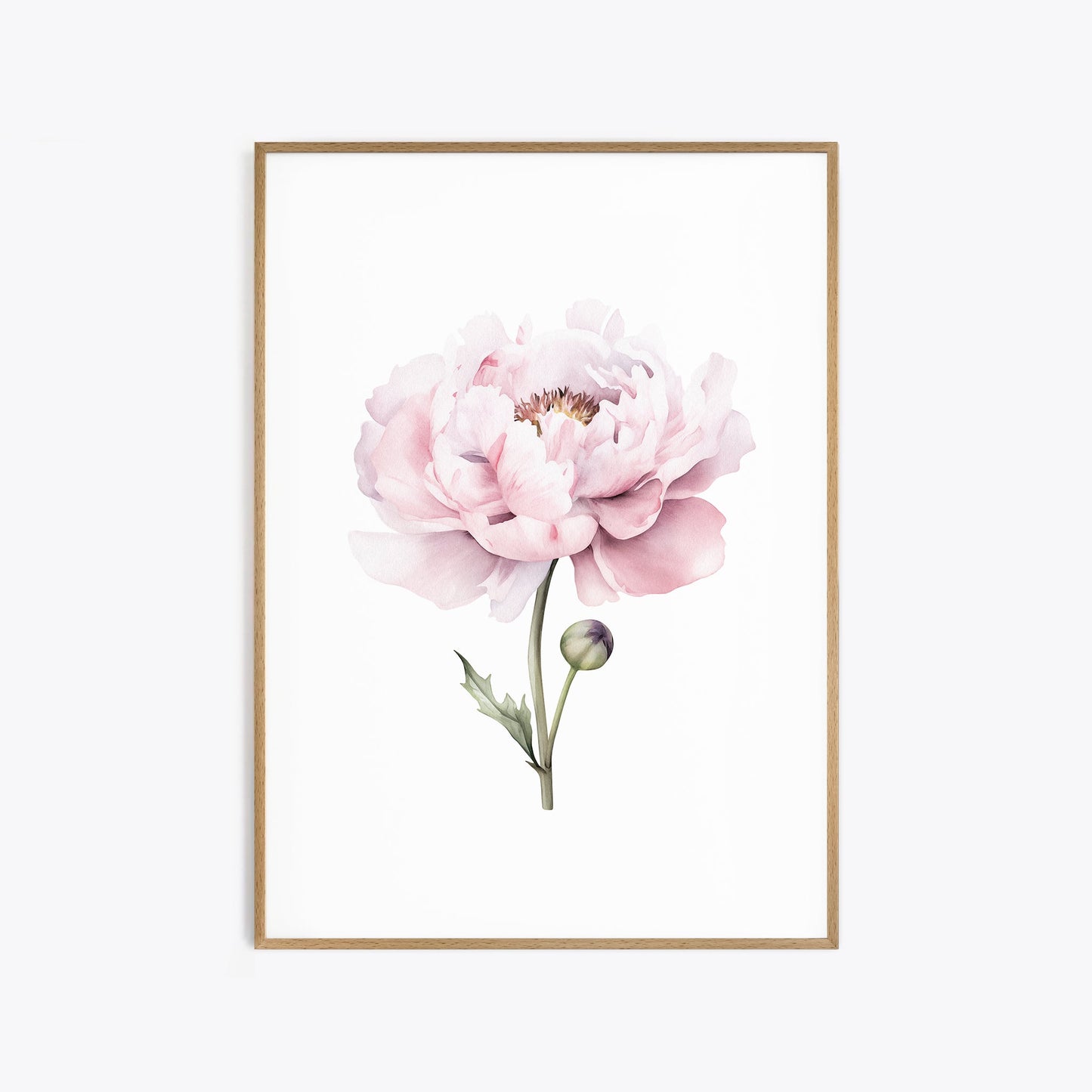 Light Pink Peonies - Set of 3 Botanical Prints - Bloom Gallery