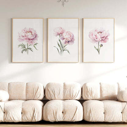 Light Pink Peonies - Set of 3 Botanical Prints - Bloom Gallery