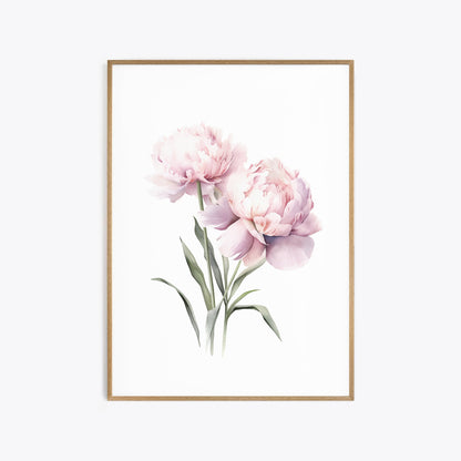 Light Pink Peonies - Set of 3 Botanical Prints - Bloom Gallery