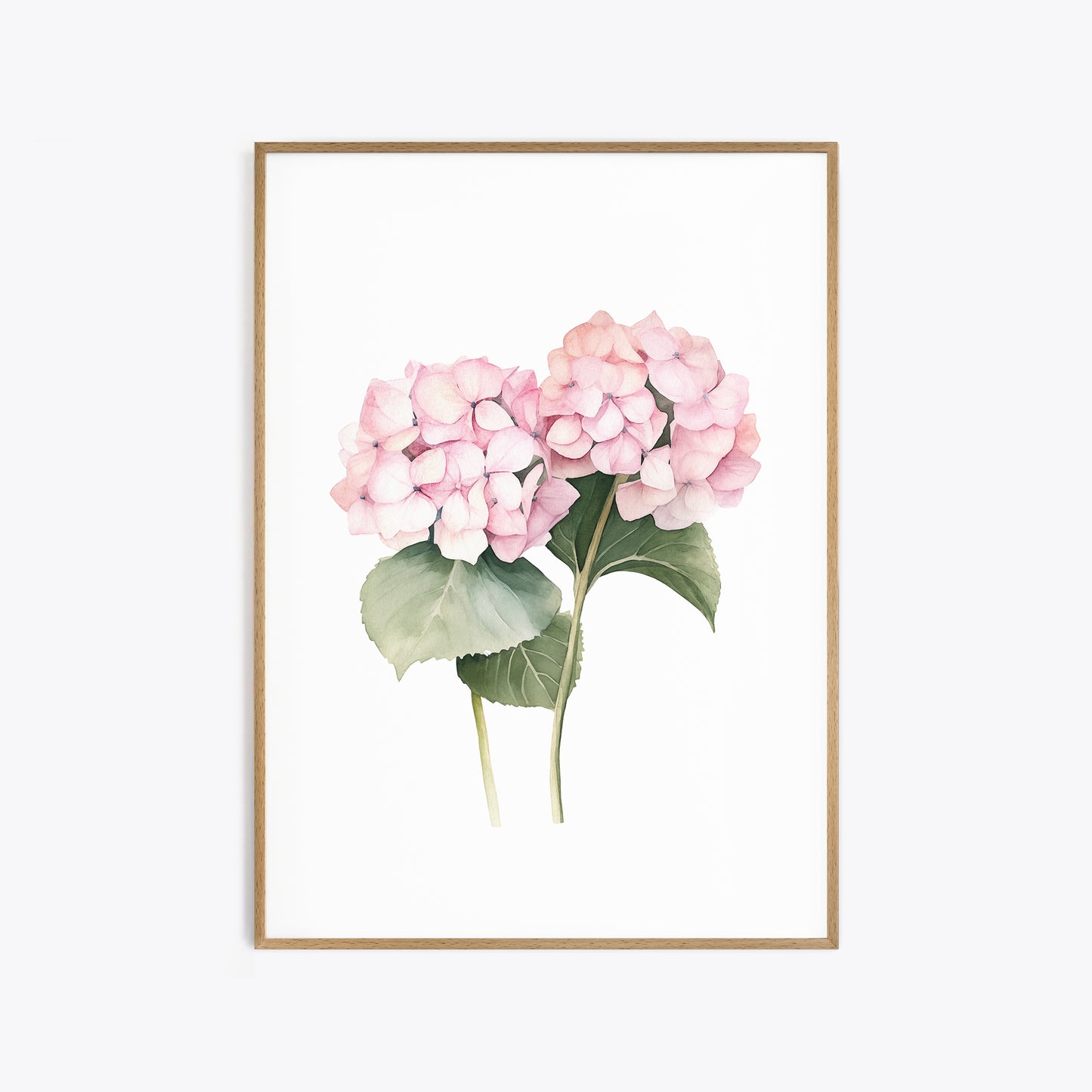 Pink Hydrangeas Botanical Prints - Set of 3 Wall Decor