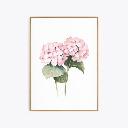 Pink Hydrangeas Botanical Prints - Set of 3 Wall Decor