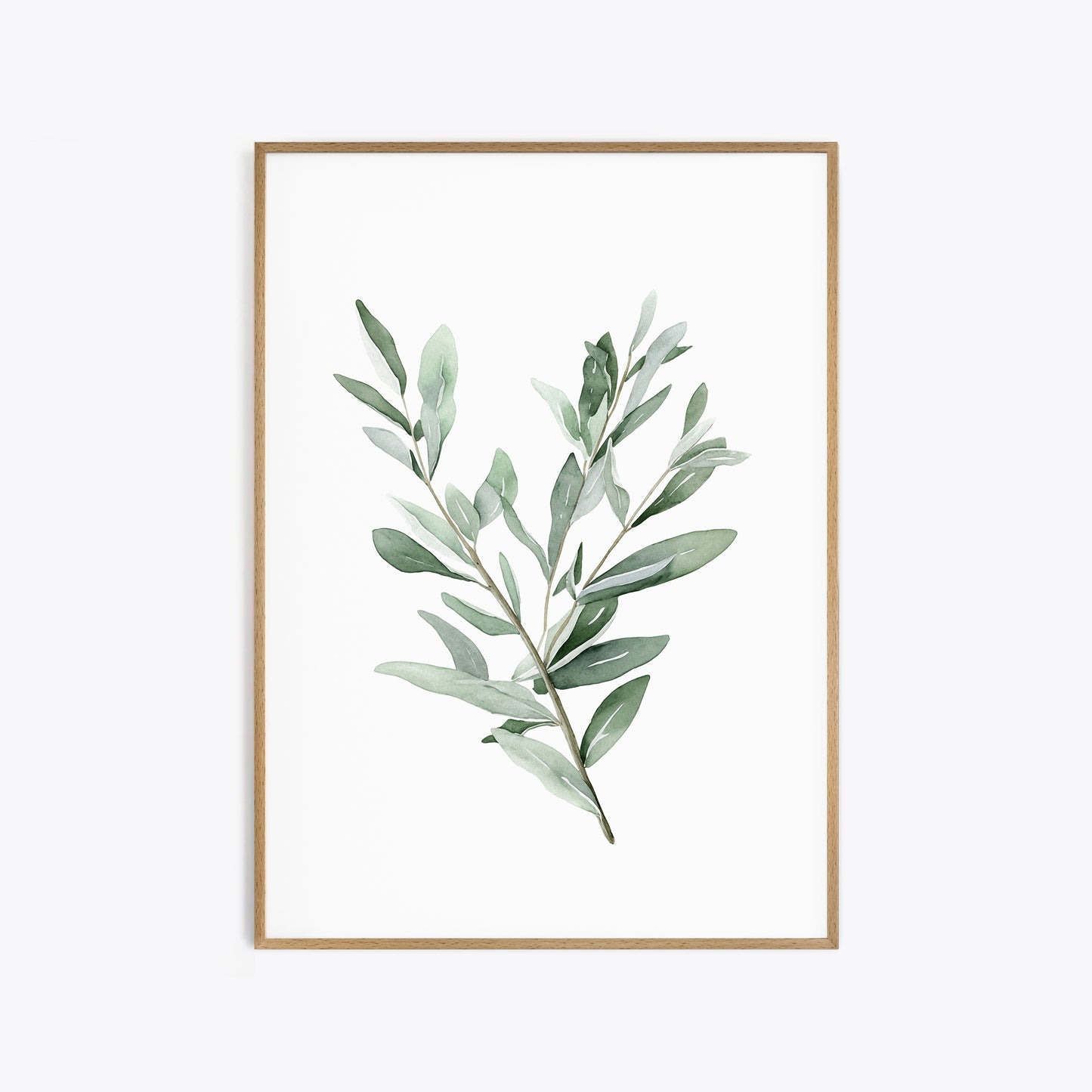 Eucalyptus & Sage Botanical Prints - Set of 3 Wall Decor