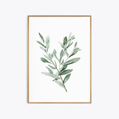 Eucalyptus & Sage Botanical Prints - Set of 3 Wall Decor